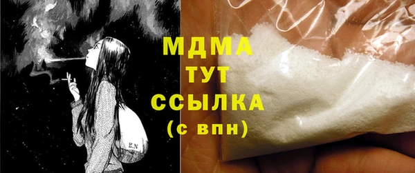 индика Снежногорск
