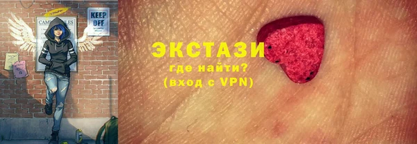 индика Снежногорск