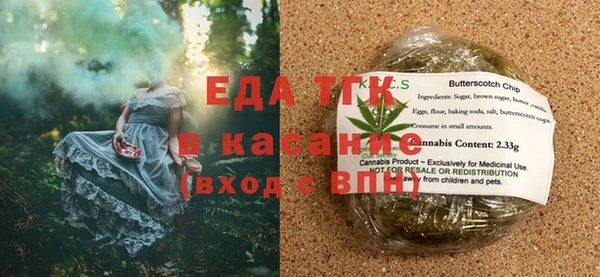 индика Снежногорск