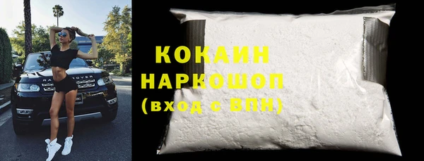 индика Снежногорск
