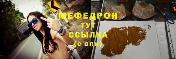 индика Снежногорск