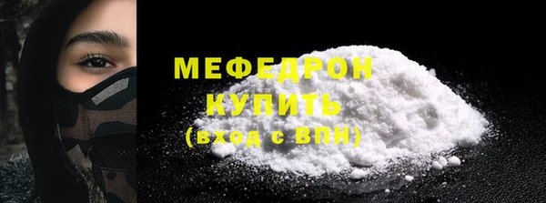 индика Снежногорск