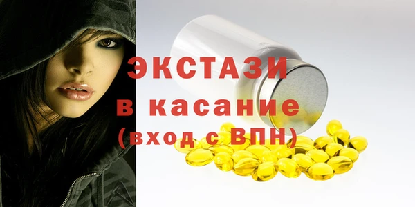 индика Снежногорск