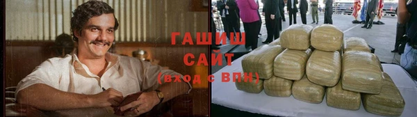 индика Снежногорск