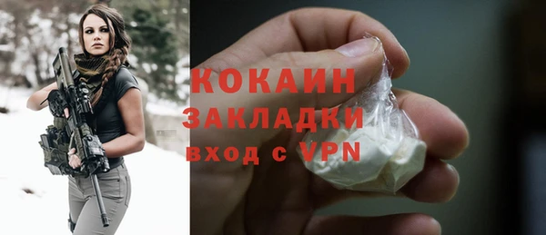 индика Снежногорск
