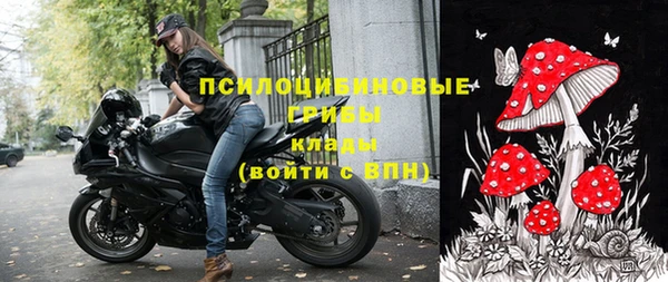 PSILOCYBIN Снежинск