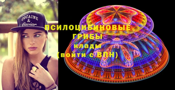 индика Снежногорск
