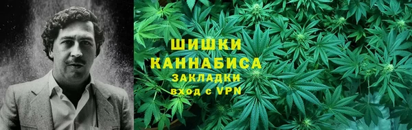 индика Снежногорск