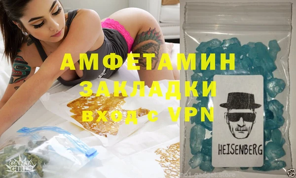 индика Снежногорск