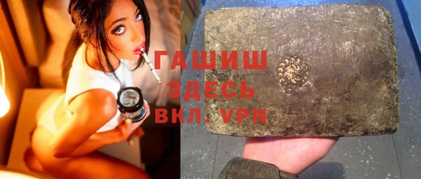 индика Снежногорск