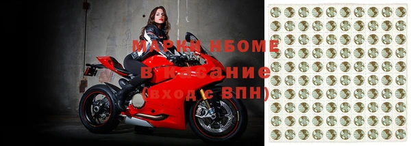 индика Снежногорск
