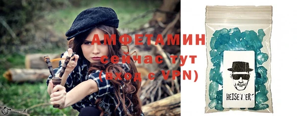 индика Снежногорск