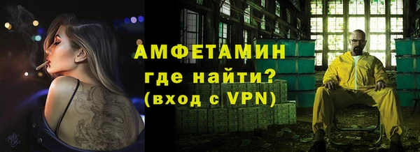 индика Снежногорск
