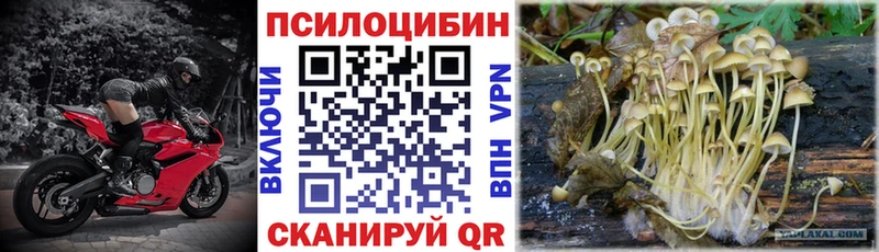 Галлюциногенные грибы Cubensis  маркетплейс официальный сайт  Богучар  где можно купить   MEGA зеркало 